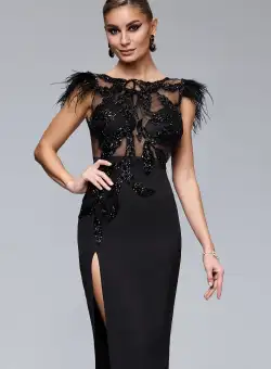 Rochie eleganta neagra cu pene si broderie