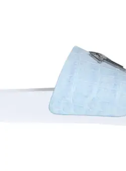 Giuseppe Zanotti Slide Sandals With Logo BABY BLUE