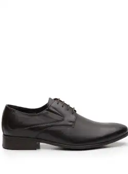 Pantofi barbati Derby din piele naturala, Leofex - 690 maro box