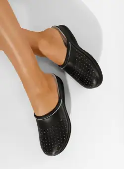 Saboti medicinali Asaria negri