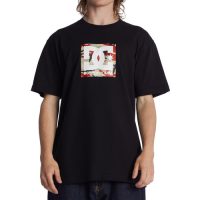 Tricou barbati DC Shoes Square Star Fill ADYZT04987-XKRC